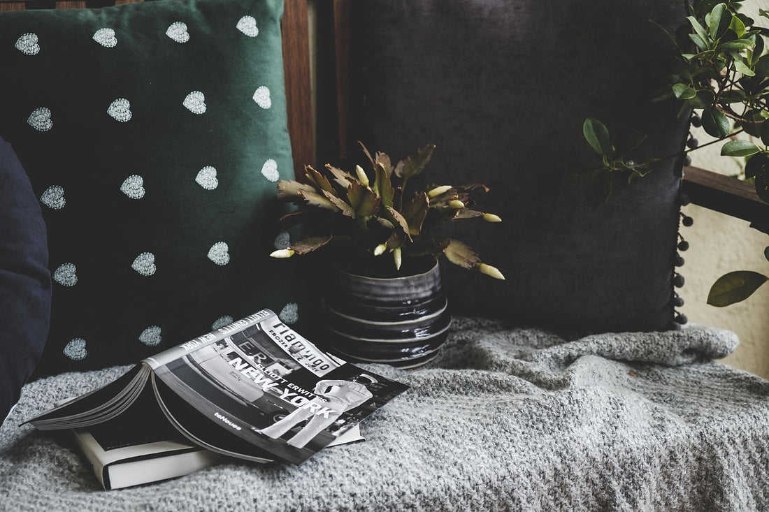 Regalos para amantes de la lectura: libros y cojÃ­n en un rincÃ³n de lectura
