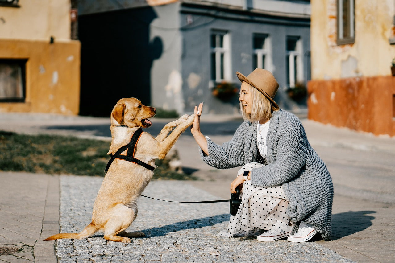 Regalos para amantes de los perros: dueña feliz con su perro