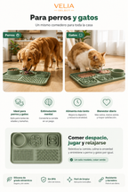 Comedero lento para perros y gatos: un perro y un gato comiendo despacio en el mismo tapete