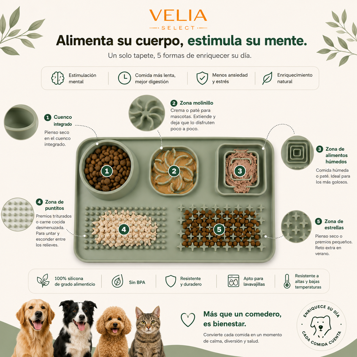 Las 5 zonas del comedero lento: cuenco, molinillo, laberinto, puntitos y estrellas