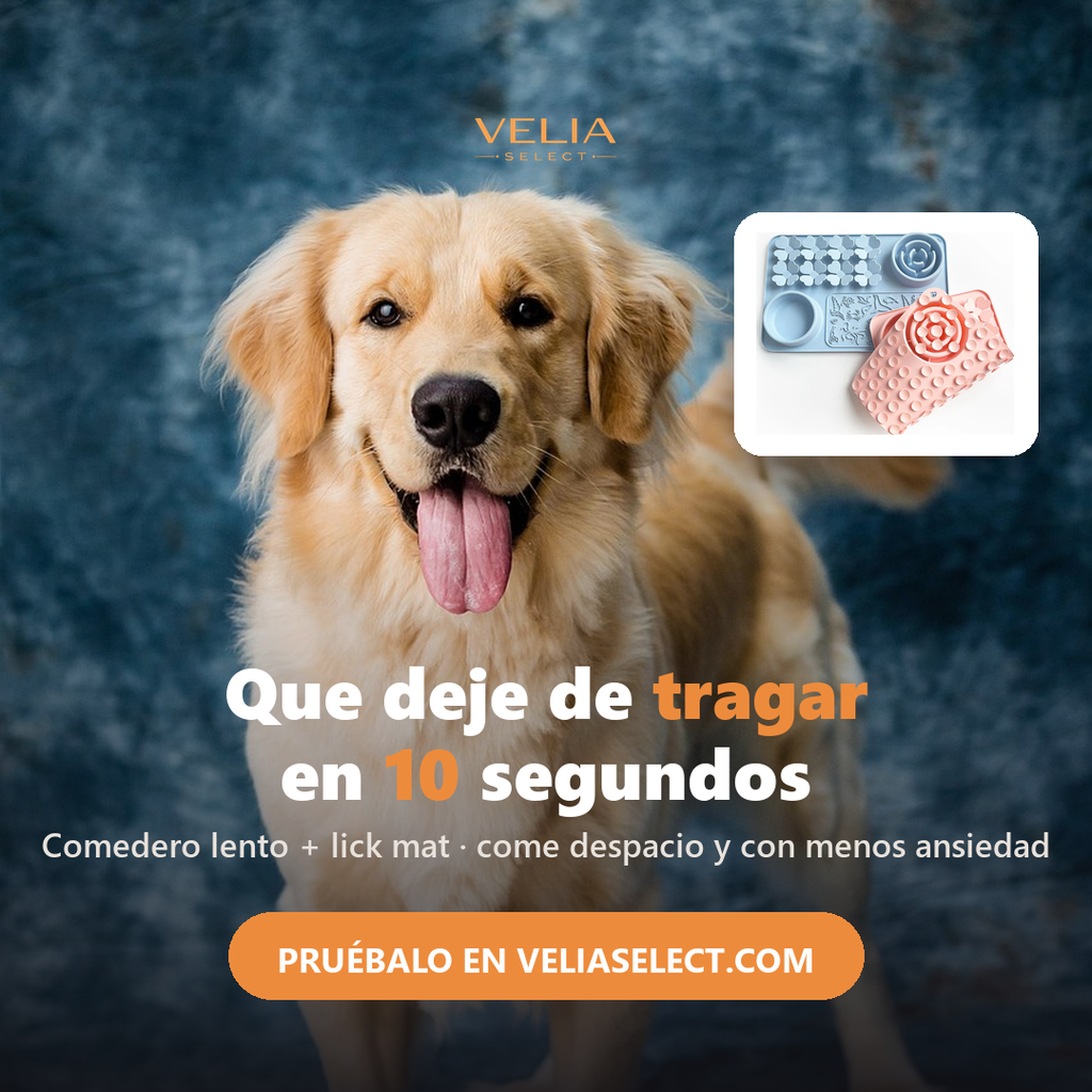 Perro con la alfombrilla de lamer antiestres de Velia Select